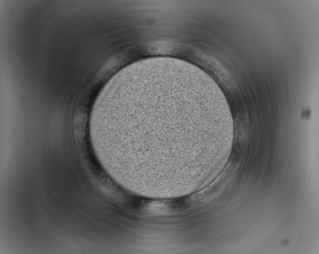 X0000102350171200808291210