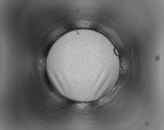 X0000102350172200808291210