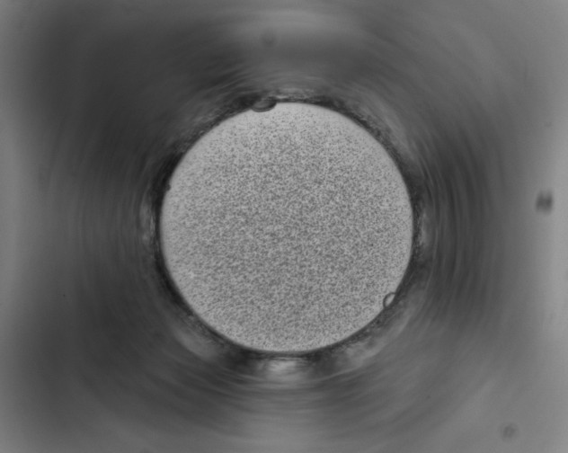 X0000102350173200808291210
