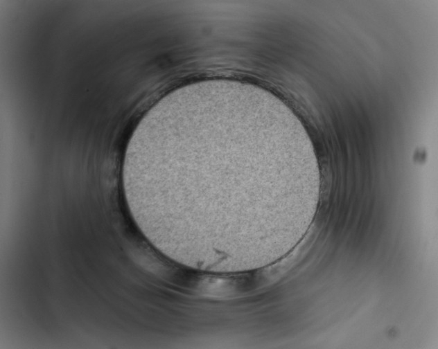 X0000102350174200808291210