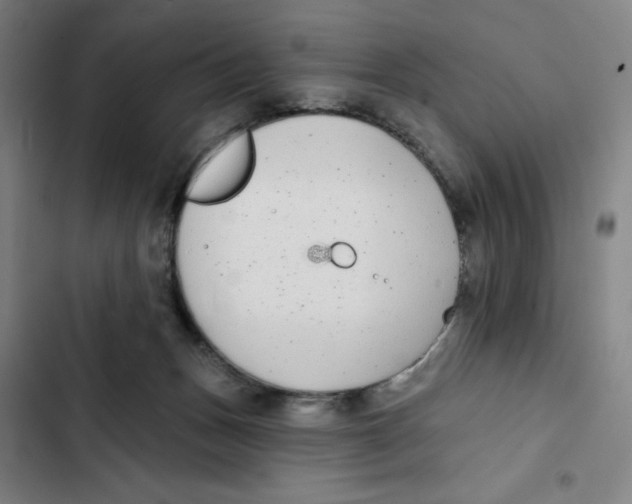 X0000102350175200808291210