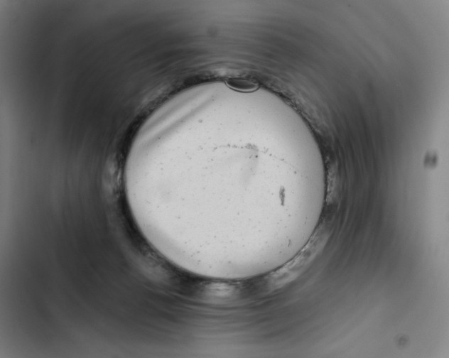 X0000102350176200808291210