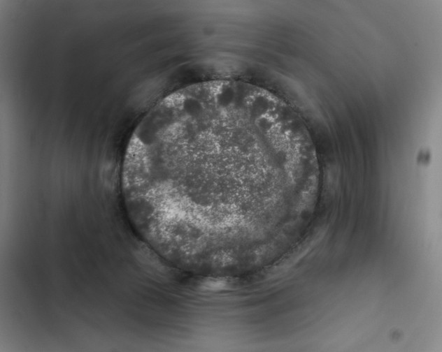 X0000102350177200808291210