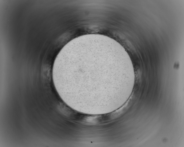 X0000102350178200808291210