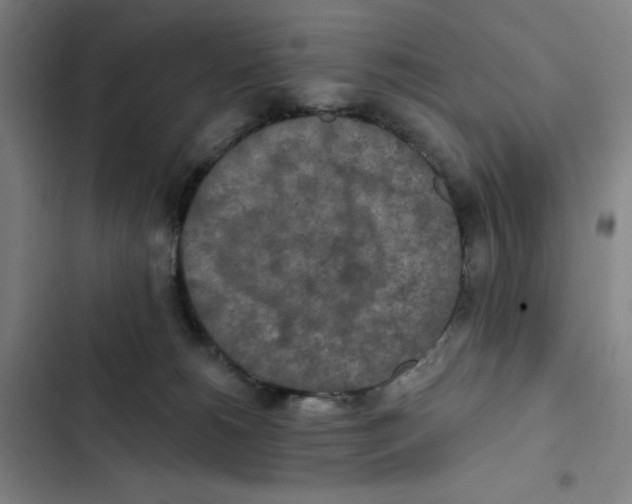 X0000102350180200808291210