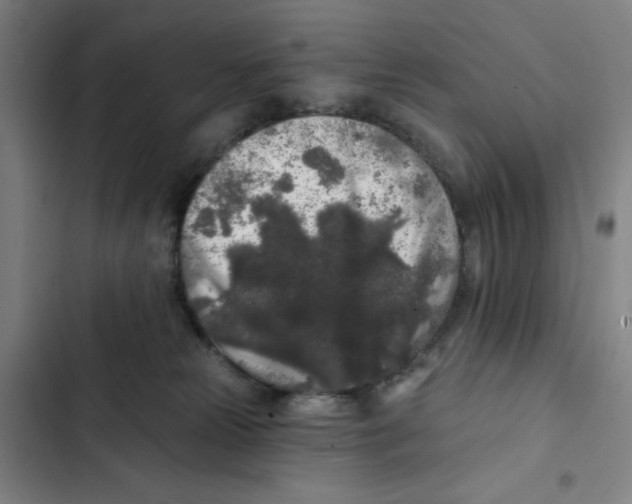 X0000102350181200808291210