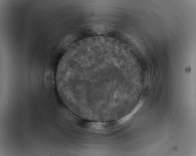 X0000102350182200808291210