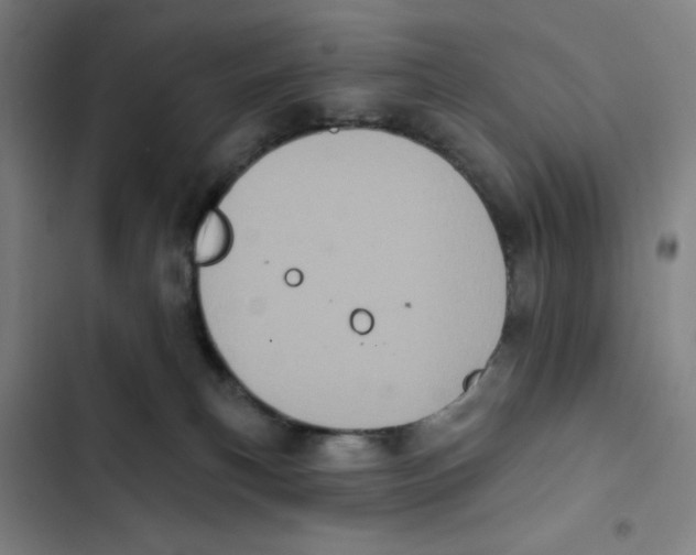 X0000102350183200808291210