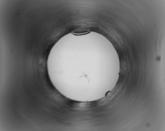 X0000102350184200808291210