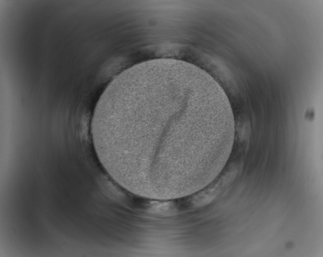 X0000102350185200808291210
