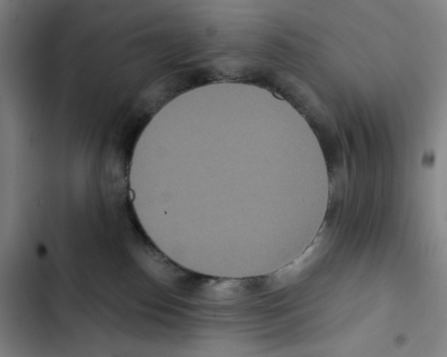 X0000102350186200808291210