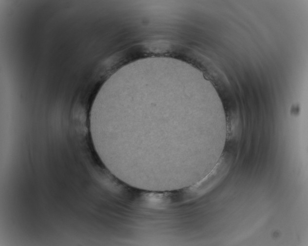 X0000102350187200808291210