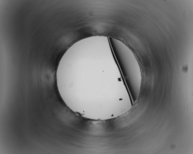 X0000102350188200808291210