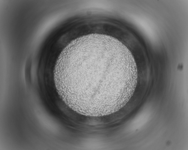 X0000102350189200808291210