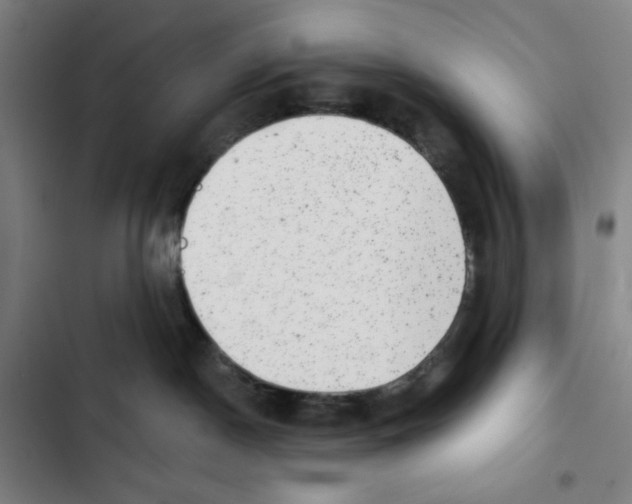X0000102350190200808291210
