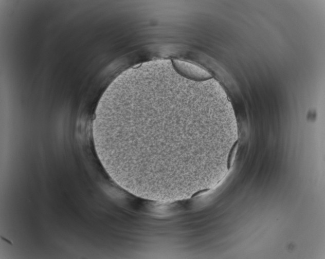 X0000102350191200808291210