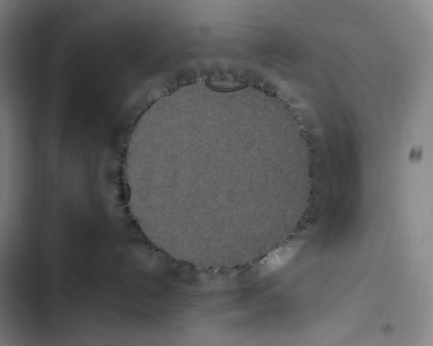 X0000102350192200808291210
