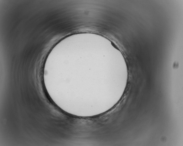 X0000102350193200808291209