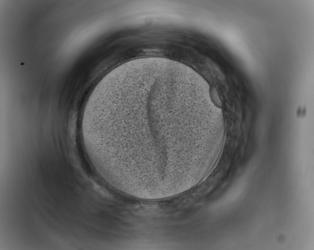 X0000102350194200808291209
