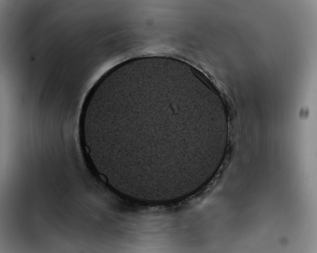 X0000102350196200808291209