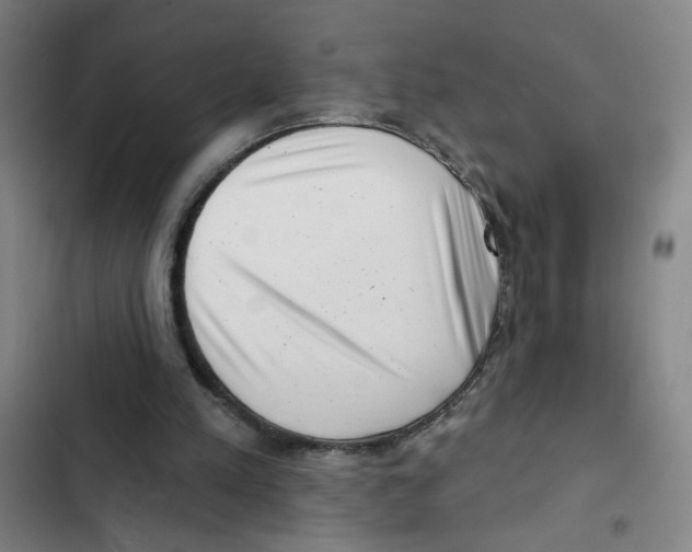 X0000102350197200808291209