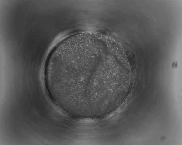 X0000102350198200808291209