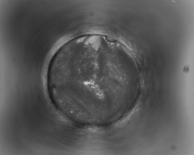 X0000102350199200808291209