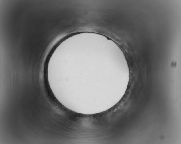 X0000102350200200808291209