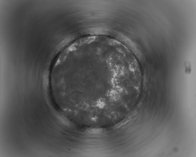 X0000102350202200808291209