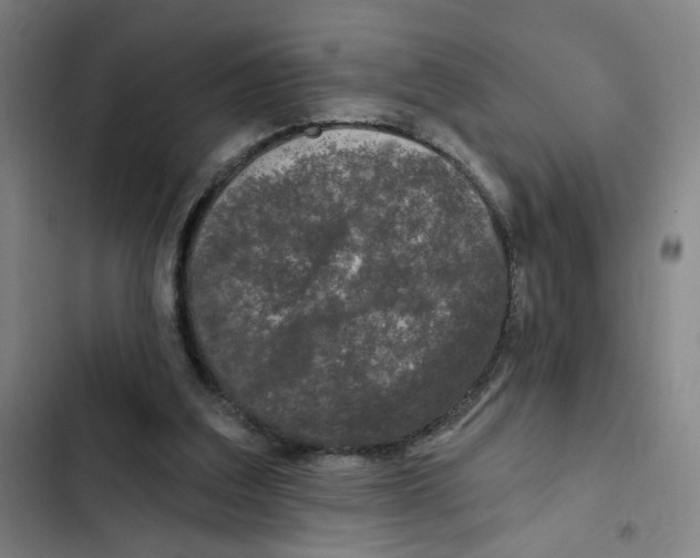 X0000102350203200808291209
