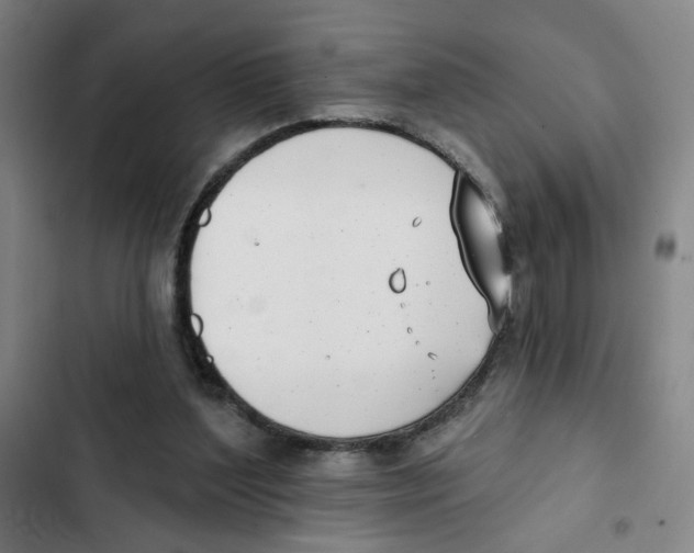 X0000102350204200808291209