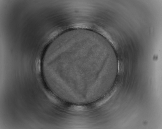 X0000102350205200808291209