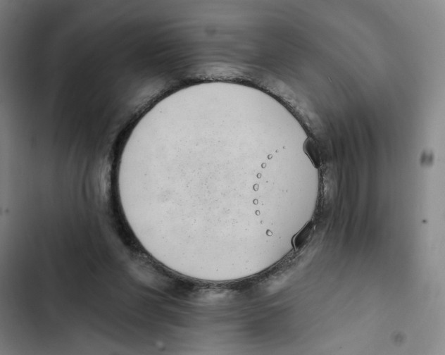 X0000102350206200808291209