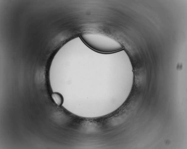 X0000102350207200808291209