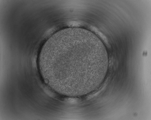 X0000102350209200808291209