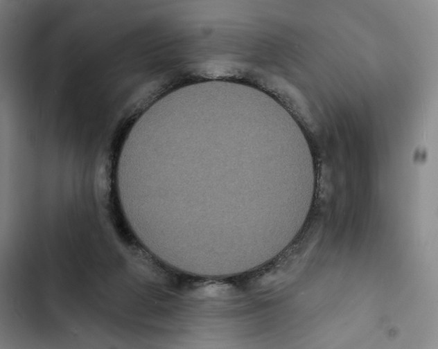 X0000102350210200808291209