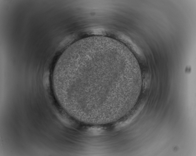 X0000102350213200808291209