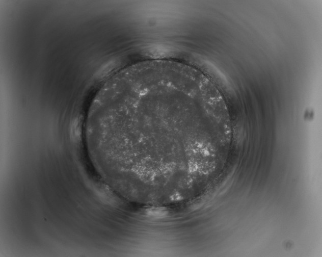 X0000102350214200808291209