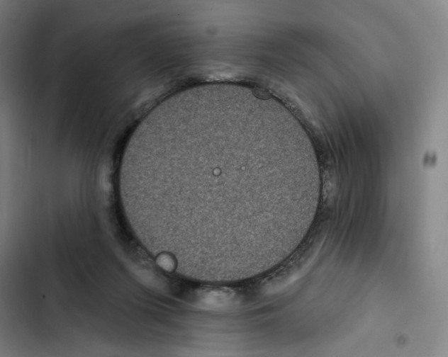 X0000102350215200808291209