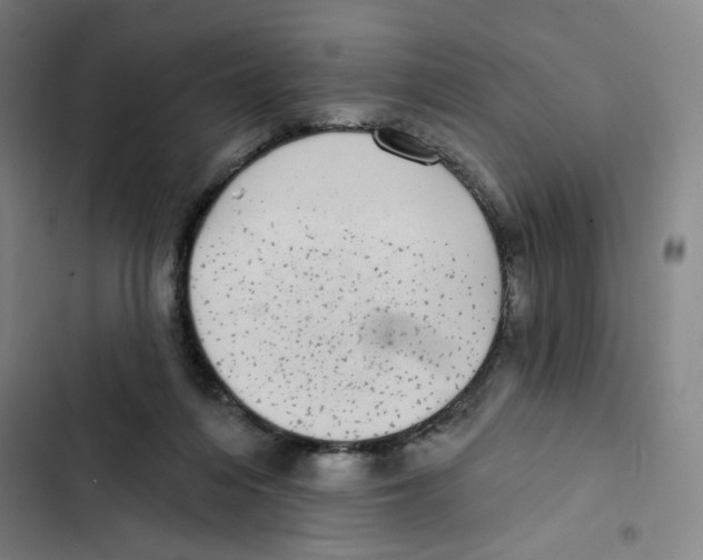 X0000102350216200808291209