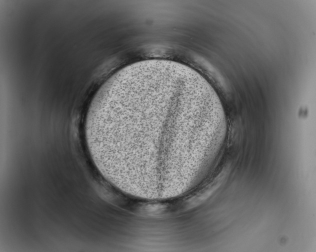 X0000102350217200808291209