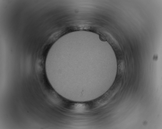 X0000102350218200808291209