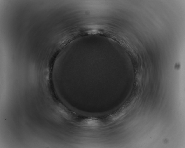 X0000102350219200808291209