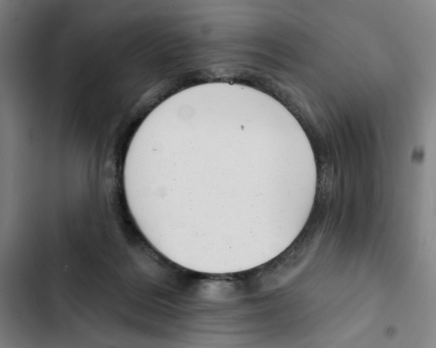 X0000102350220200808291209
