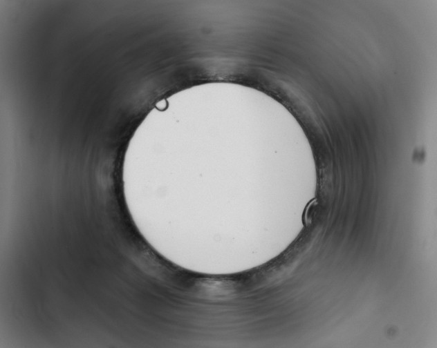 X0000102350221200808291209
