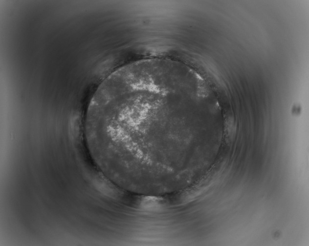 X0000102350222200808291209