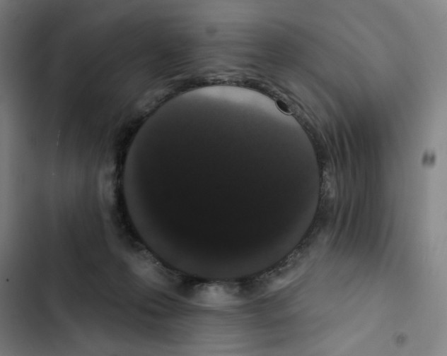 X0000102350223200808291209