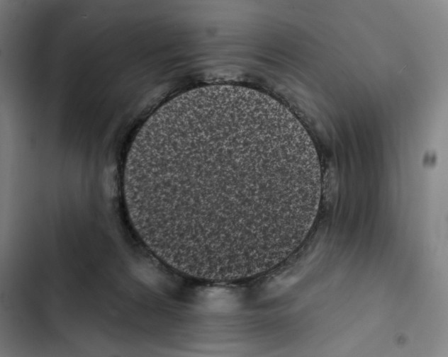 X0000102350224200808291209