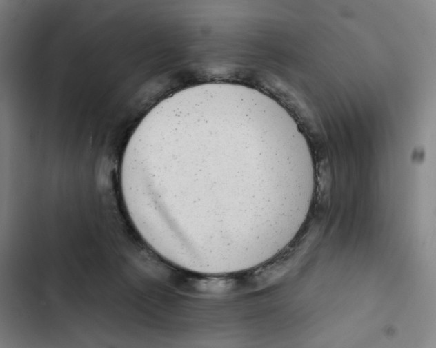 X0000102350225200808291209