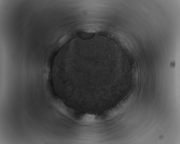 X0000102350227200808291209